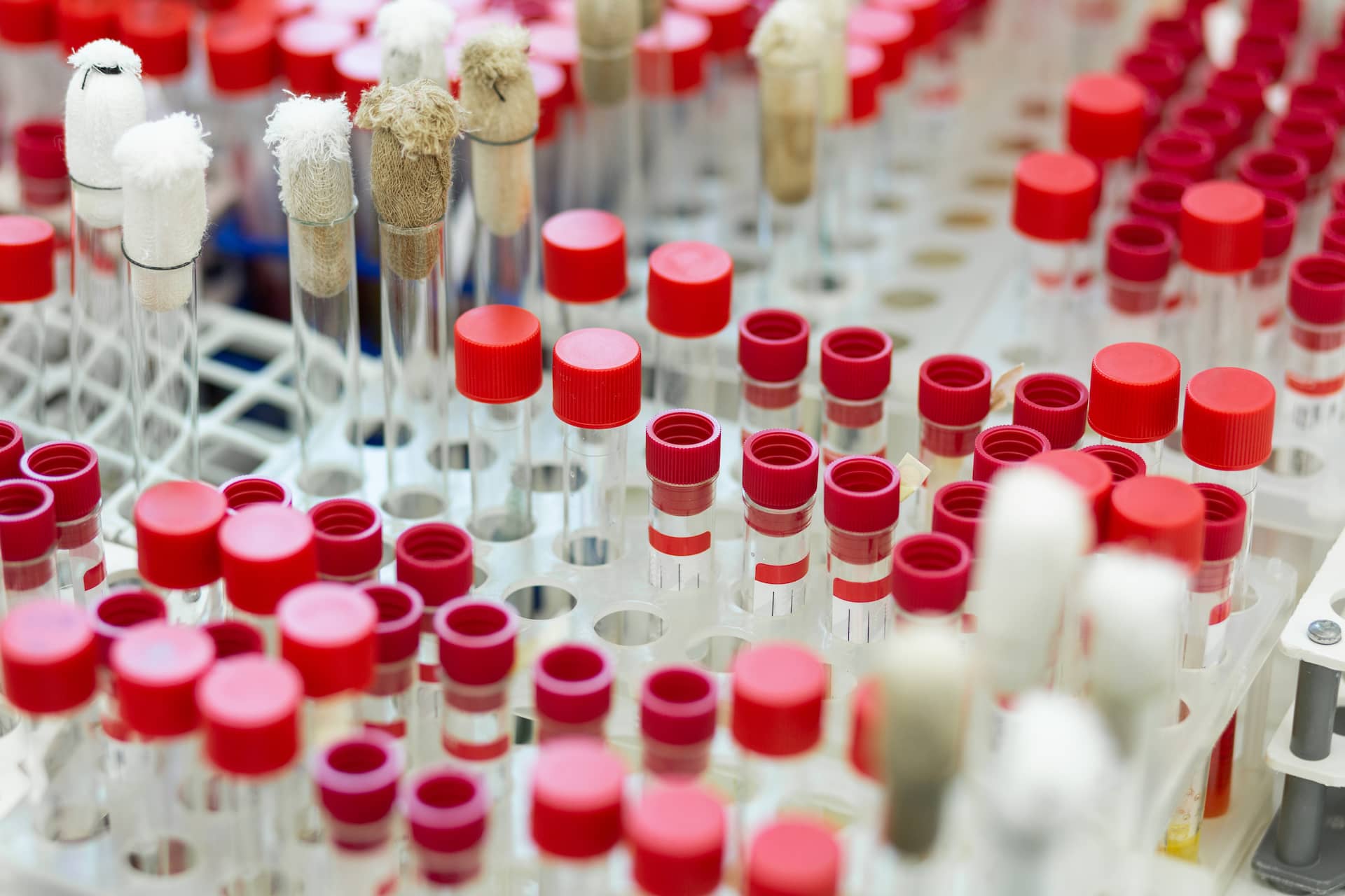 Laboratory Research Sheds Light on Epigenetic Changes Across Generations