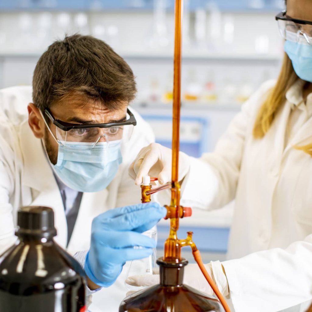 Laboratory Experiments Reveal How Environmental Factors Shape the Epigenome